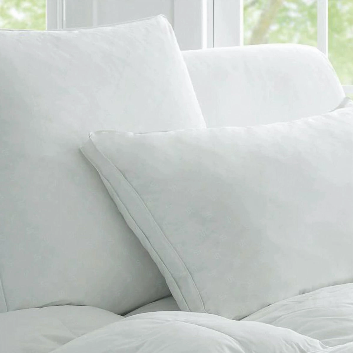 Deluxe Dream MEDIUM SUPPORT Pillow by Sheridan