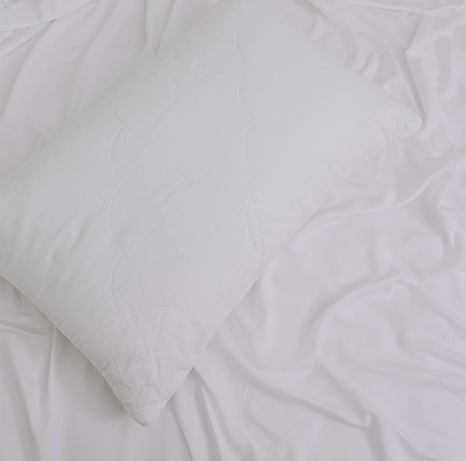Ecorenew Tencel® Pillow Protector by Bambi