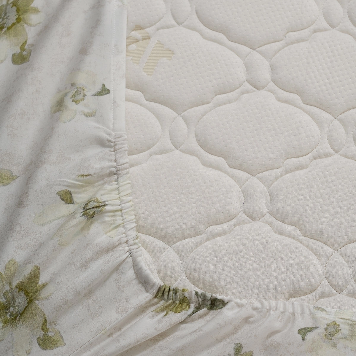 Optimist Bloom 300 TC Everly 100% Cotton Printed Fitted Sheet With Pillow Cover