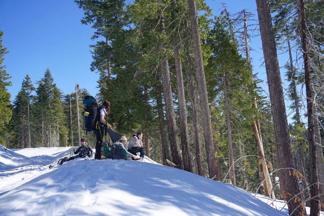 Snowshoeing Yosemite: Tuolumne Grove/Gin Flat Weekend