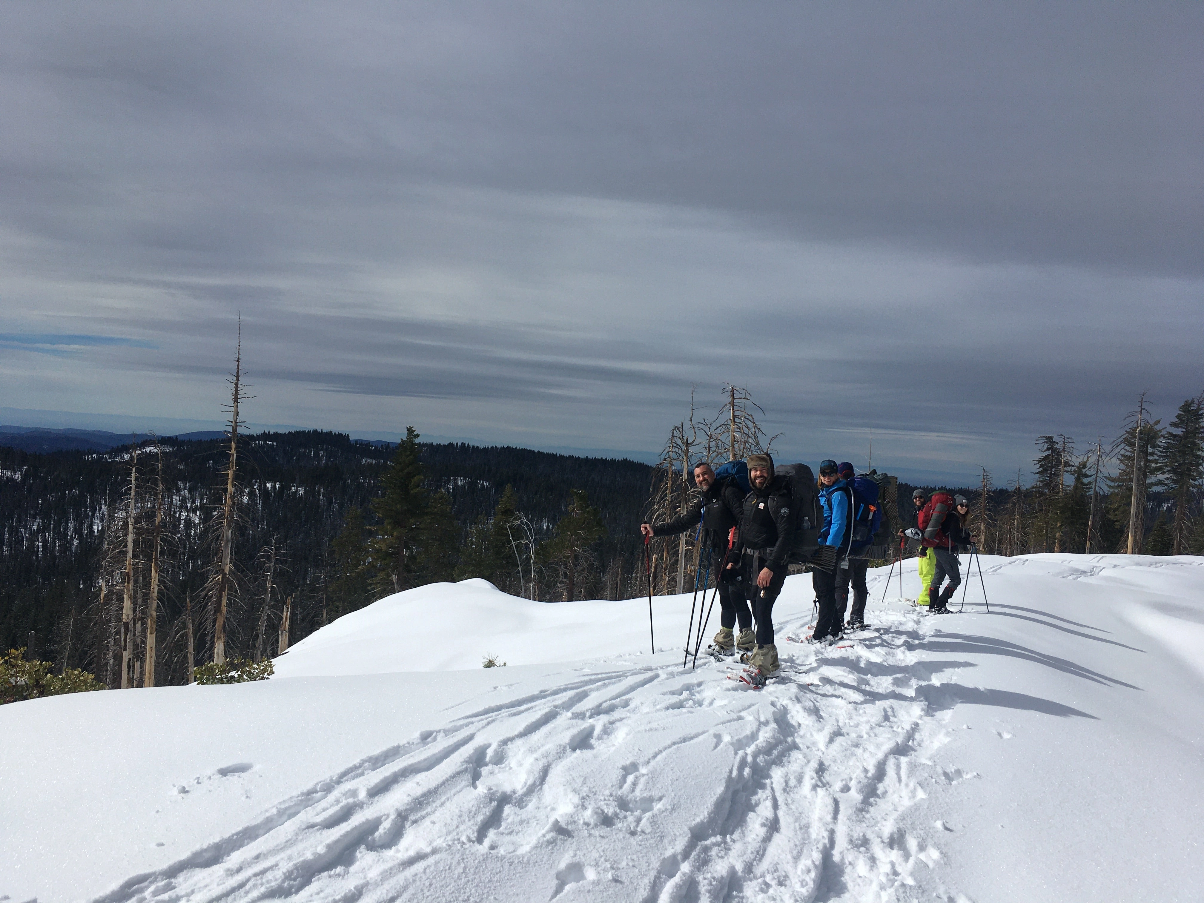 Snowshoeing Yosemite: Tuolumne Grove/Gin Flat Weekend