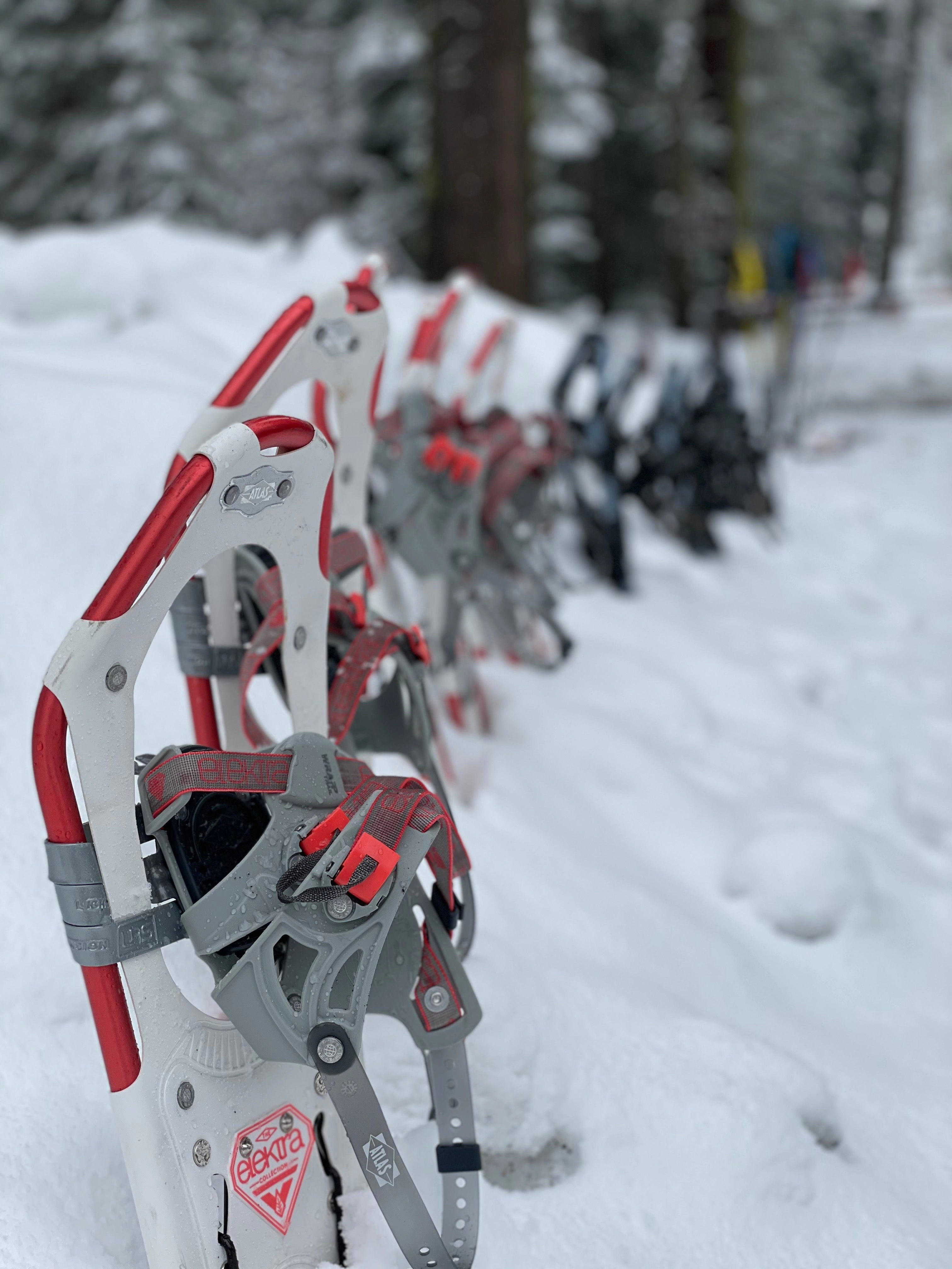 Snowshoeing Yosemite: Tuolumne Grove/Gin Flat Weekend