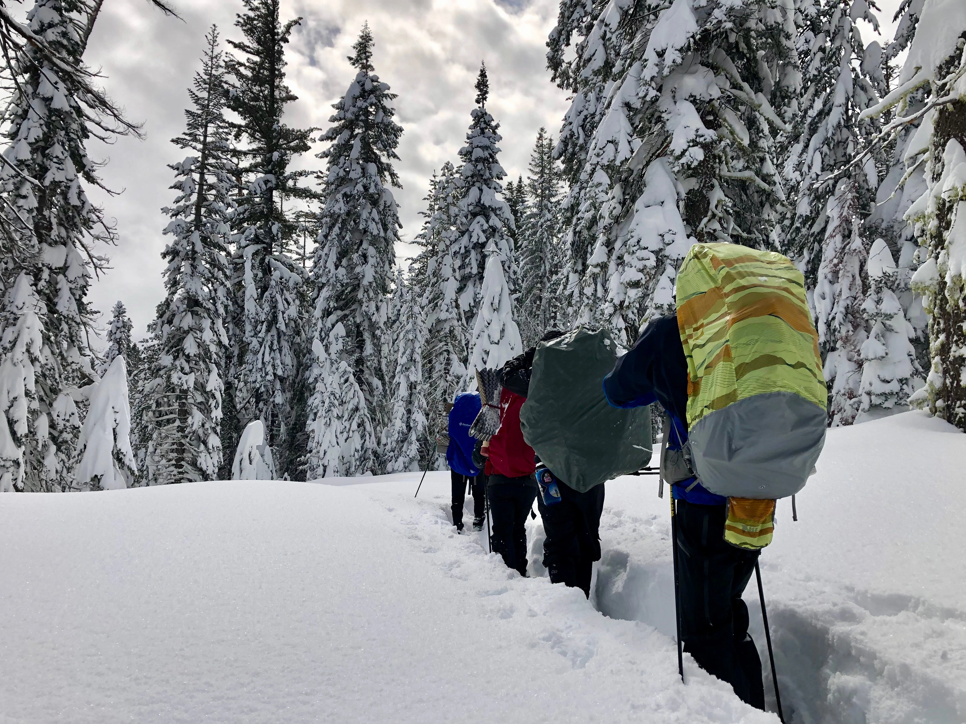Snowshoeing Yosemite: Tuolumne Grove/Gin Flat Weekend