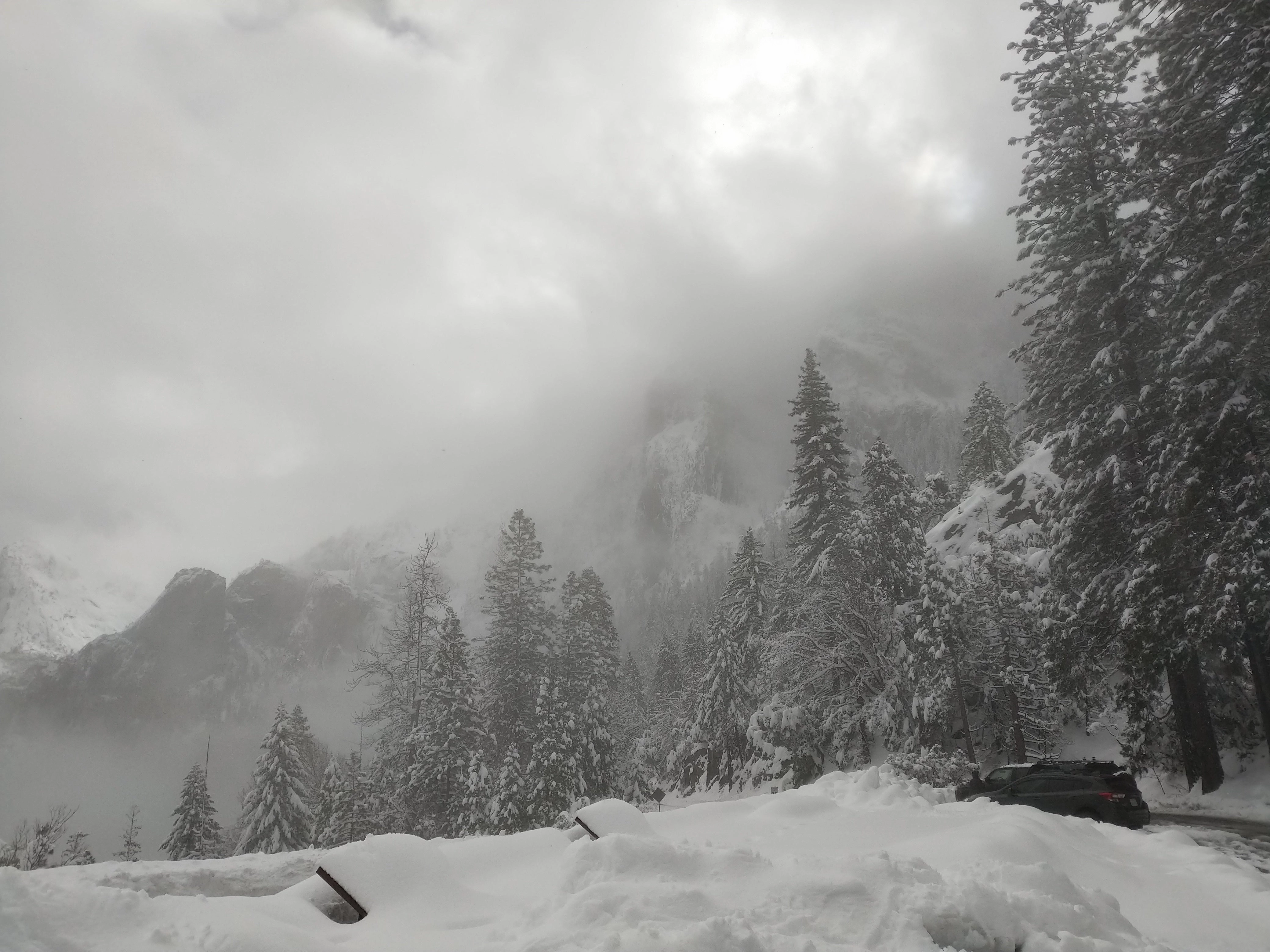 Snowshoeing Yosemite: Tuolumne Grove/Gin Flat Weekend