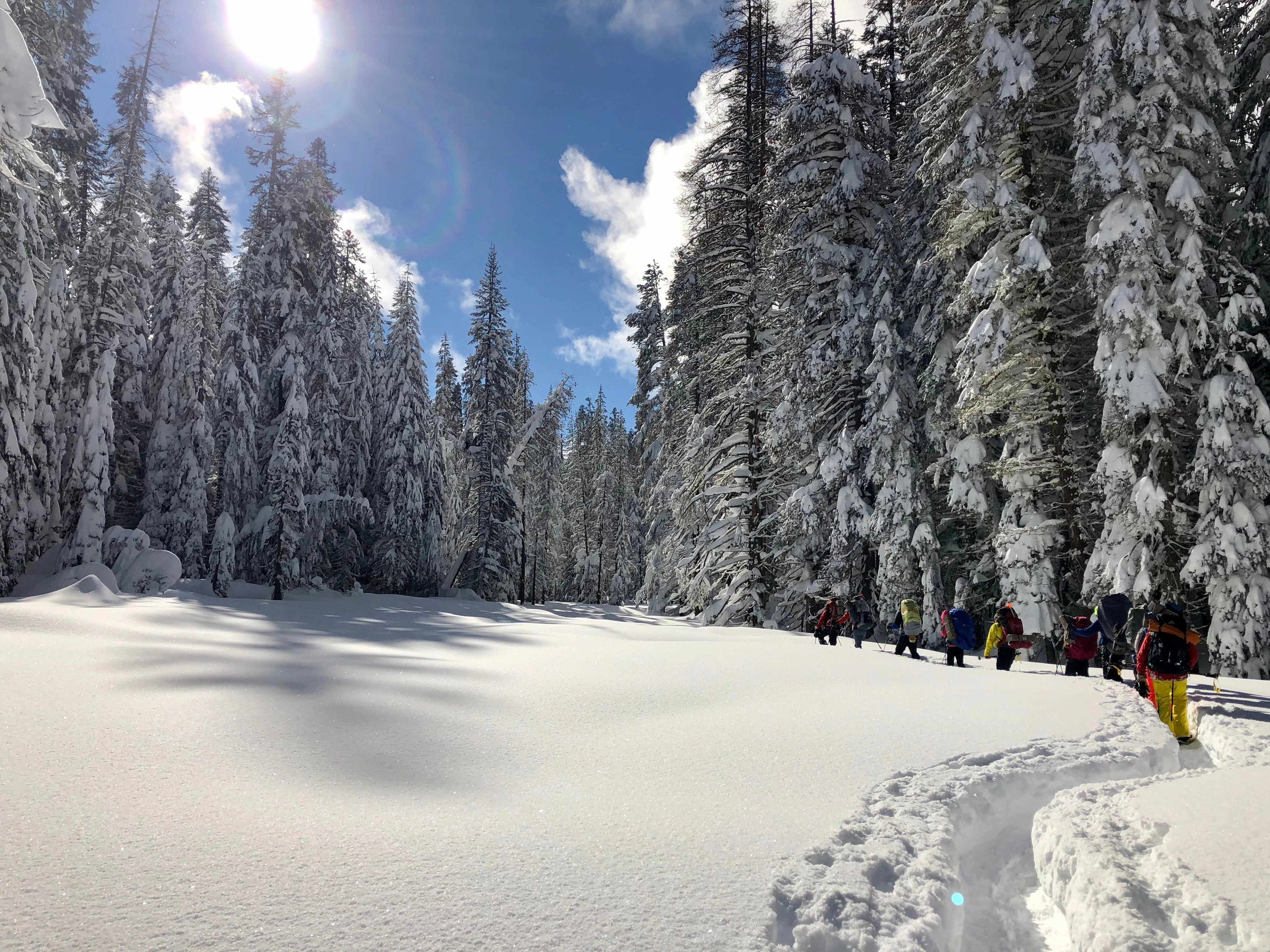 Snowshoeing Yosemite: Tuolumne Grove/Gin Flat Weekend
