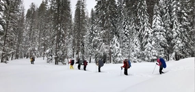 Snowshoeing Yosemite: Tuolumne Grove/Gin Flat Weekend