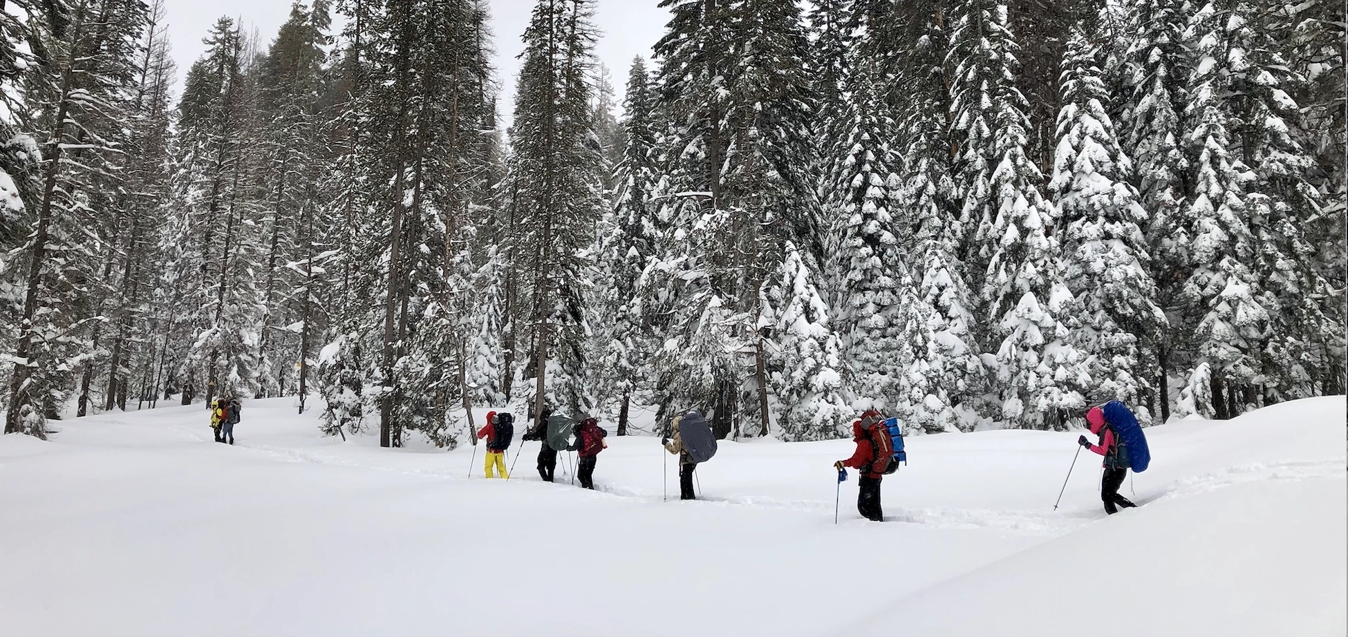 Snowshoeing Yosemite: Tuolumne Grove/Gin Flat Weekend