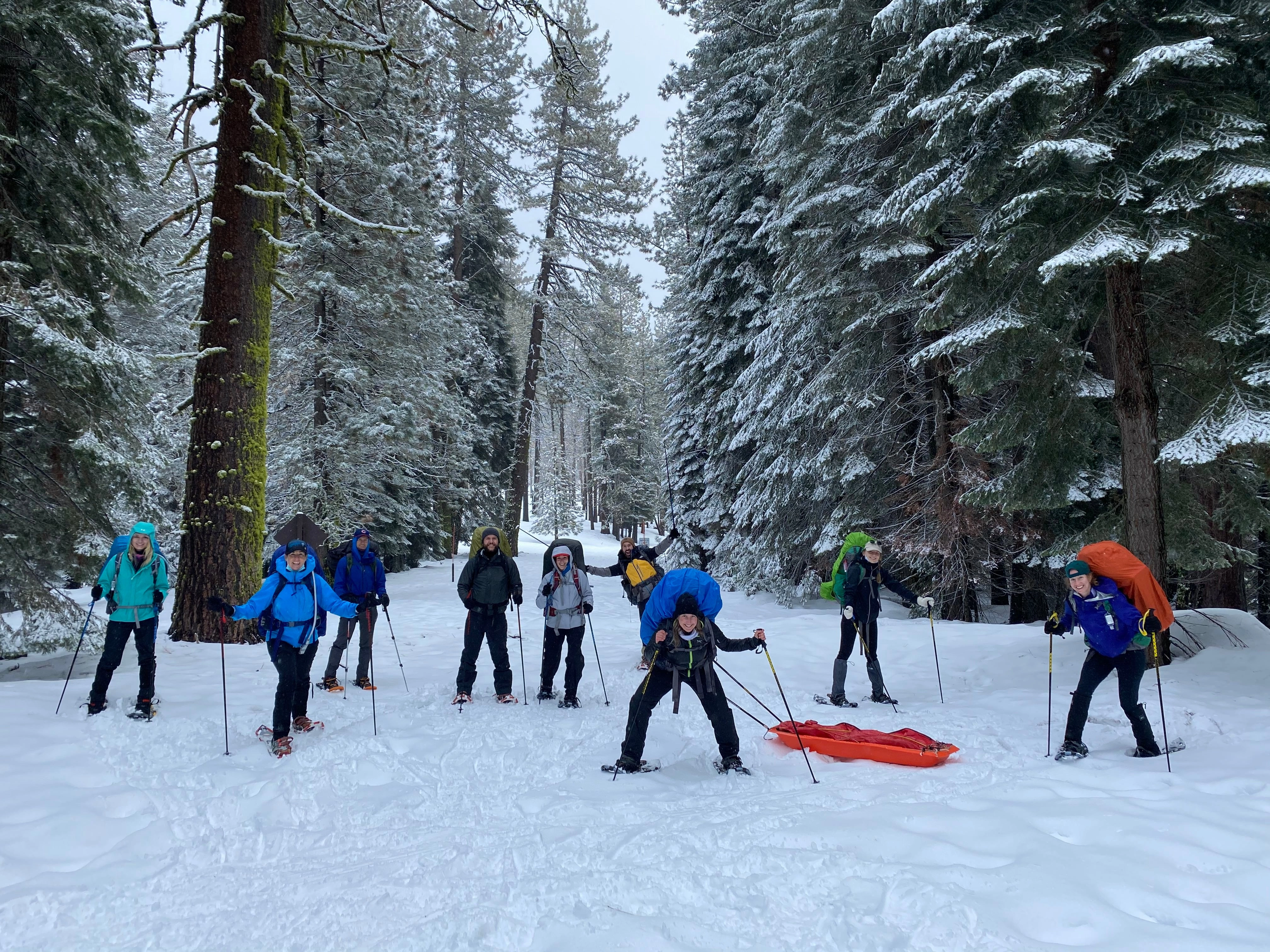 Snowshoeing Yosemite: Tuolumne Grove/Gin Flat Weekend